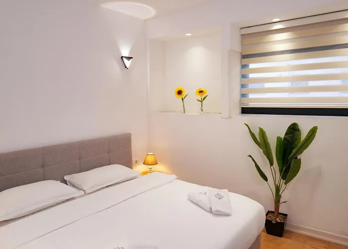 313 Center 酒店 地拉那