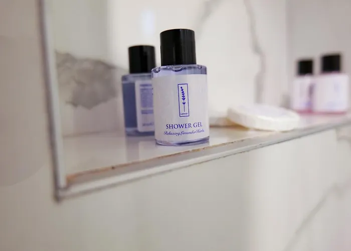 313 Center 酒店 4*