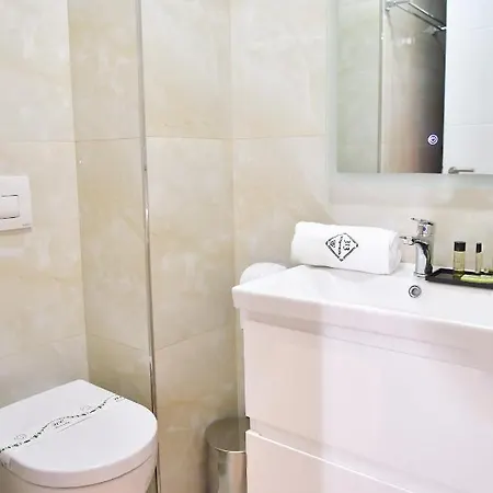 313 Center Hotel 4*