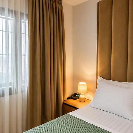 313 Center Hotel 4*